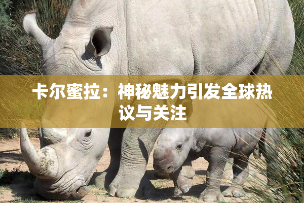 卡尔蜜拉：神秘魅力引发全球热议与关注