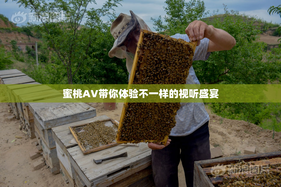 蜜桃AV带你体验不一样的视听盛宴