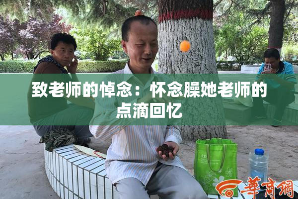 致老师的悼念：怀念臊她老师的点滴回忆