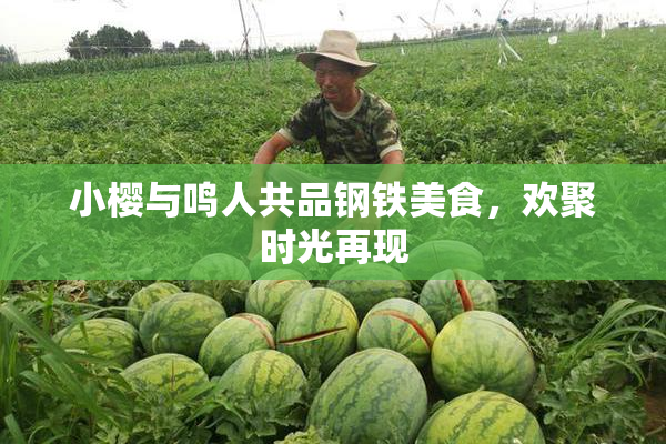 小樱与鸣人共品钢铁美食，欢聚时光再现