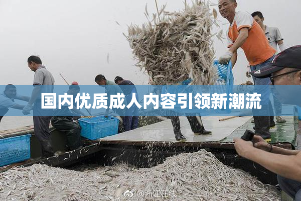 国内优质成人内容引领新潮流