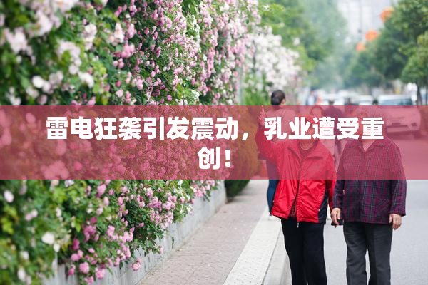 雷电狂袭引发震动，乳业遭受重创！