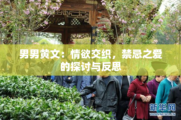 男男黄文：情欲交织，禁忌之爱的探讨与反思
