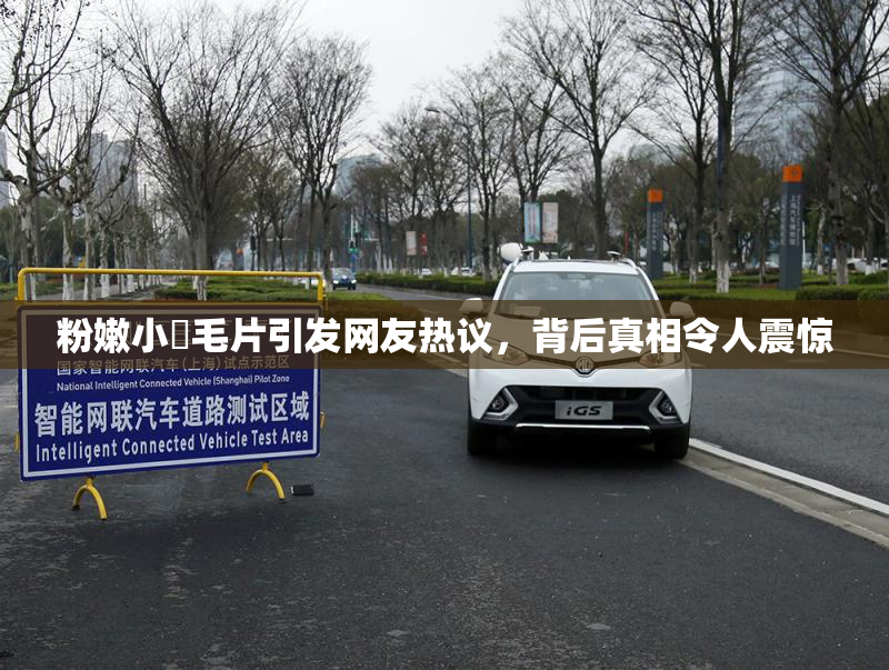 粉嫩小泬毛片引发网友热议，背后真相令人震惊