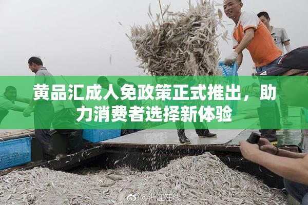 黄品汇成人免政策正式推出，助力消费者选择新体验