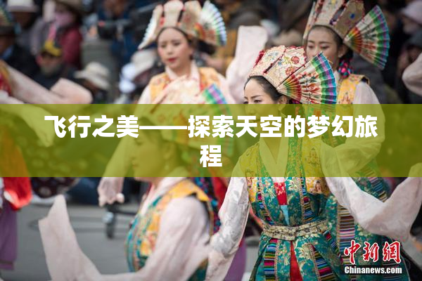 飞行之美——探索天空的梦幻旅程