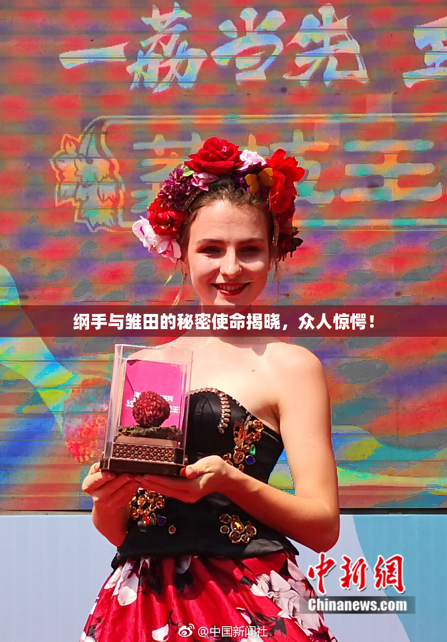 纲手与雏田的秘密使命揭晓，众人惊愕！