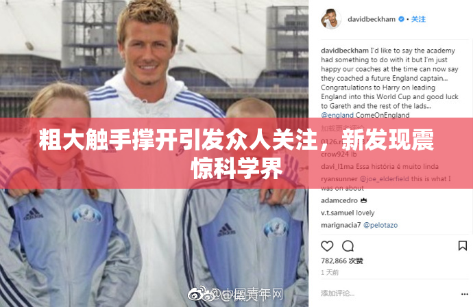 粗大触手撑开引发众人关注，新发现震惊科学界