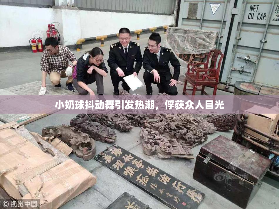 小奶球抖动舞引发热潮，俘获众人目光