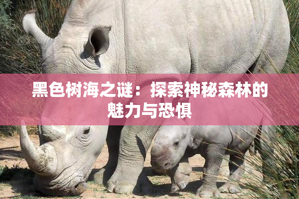 黑色树海之谜：探索神秘森林的魅力与恐惧