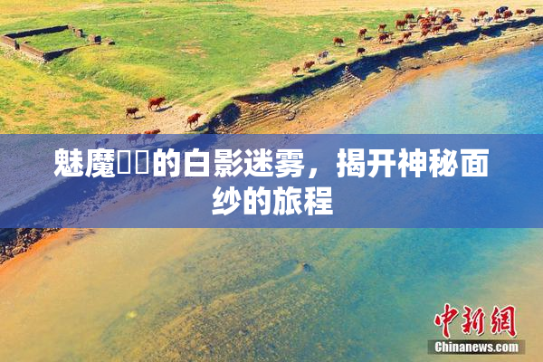 魅魔妺妺的白影迷雾，揭开神秘面纱的旅程