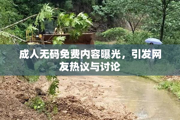 成人无码免费内容曝光，引发网友热议与讨论