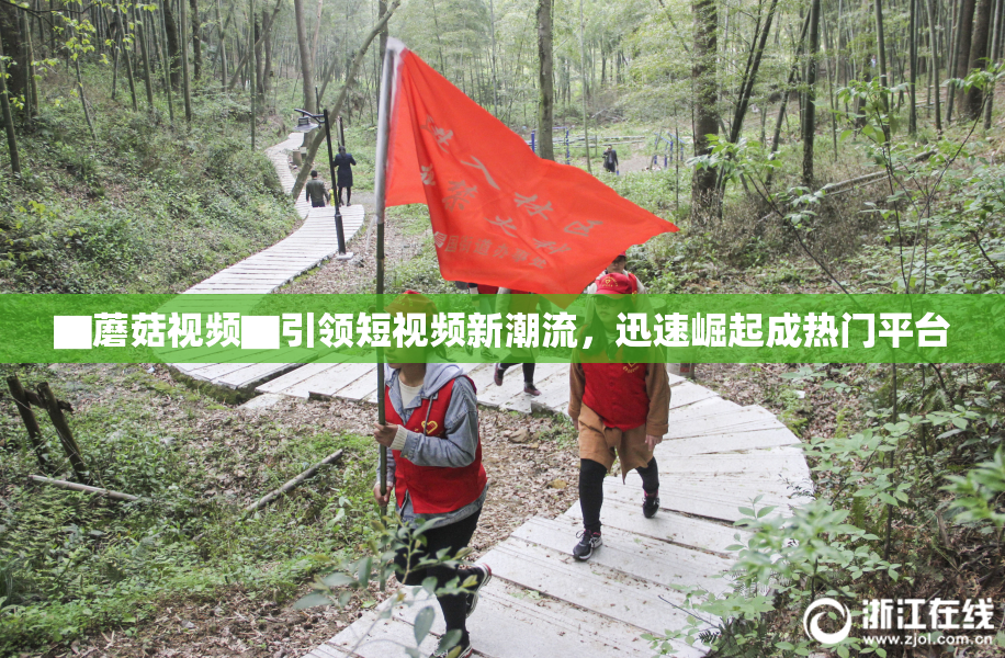 ▇蘑菇视频▇引领短视频新潮流，迅速崛起成热门平台