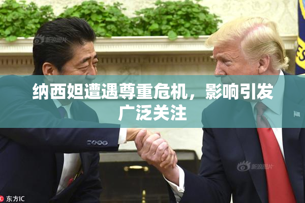 纳西妲遭遇尊重危机，影响引发广泛关注