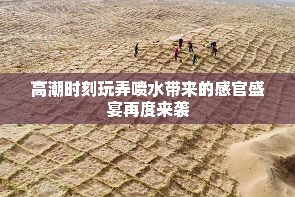 高潮时刻玩弄喷水带来的感官盛宴再度来袭