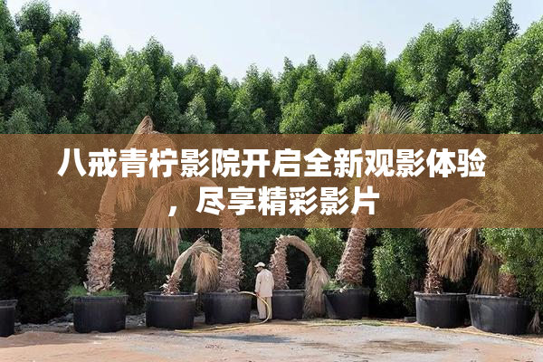 八戒青柠影院开启全新观影体验，尽享精彩影片