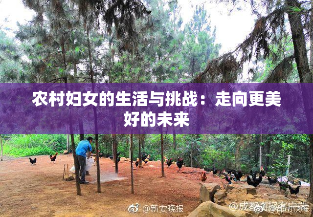 农村妇女的生活与挑战：走向更美好的未来