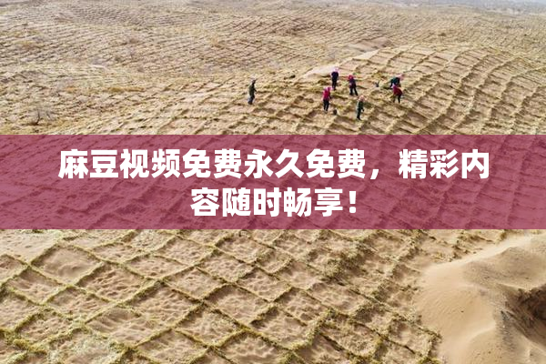 麻豆视频免费永久免费，精彩内容随时畅享！