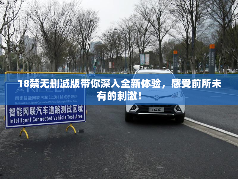 18禁无删减版带你深入全新体验，感受前所未有的刺激！