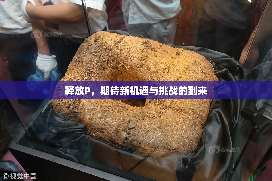 释放P，期待新机遇与挑战的到来