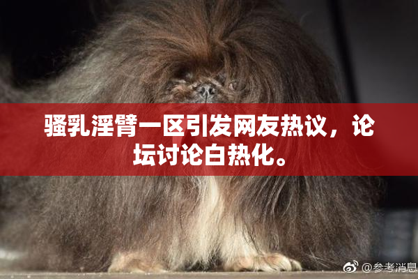 骚乳淫臂一区引发网友热议，论坛讨论白热化。
