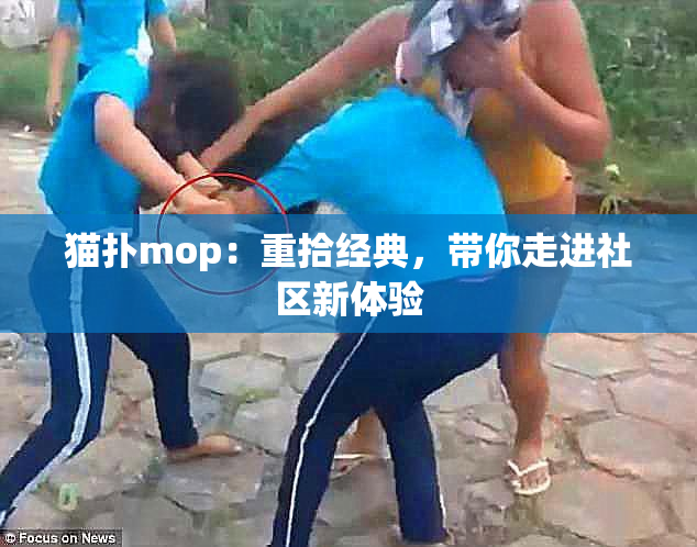 猫扑mop：重拾经典，带你走进社区新体验