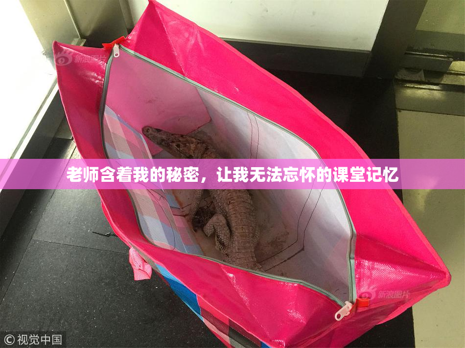 老师含着我的秘密，让我无法忘怀的课堂记忆
