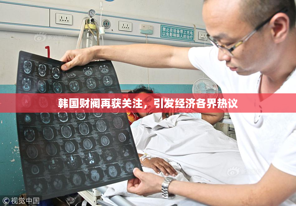 韩国财阀再获关注，引发经济各界热议
