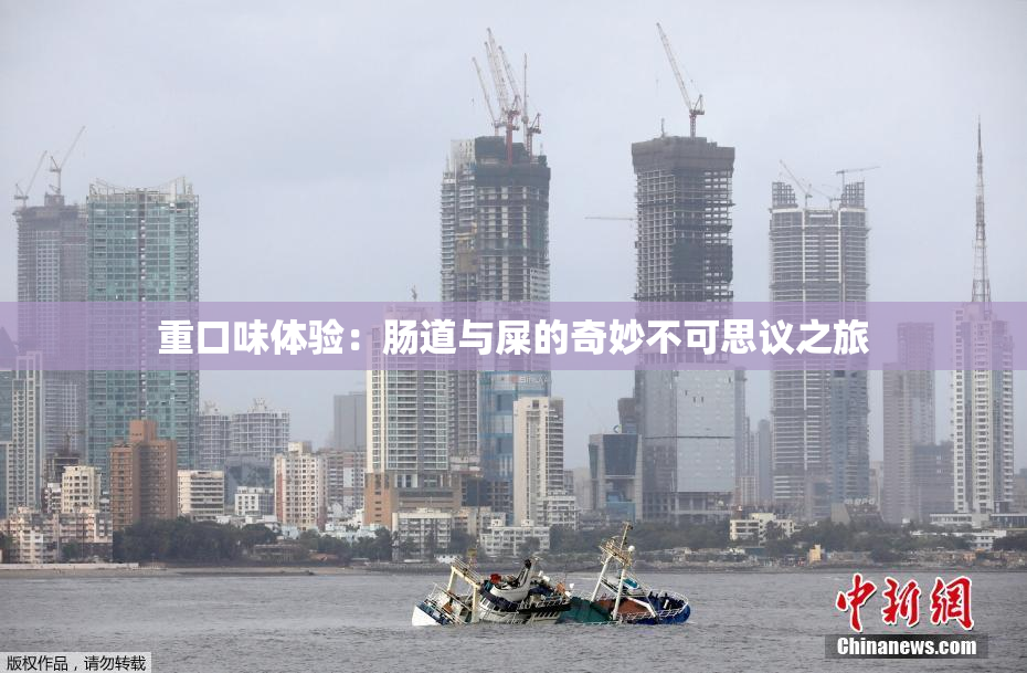 重口味体验：肠道与屎的奇妙不可思议之旅