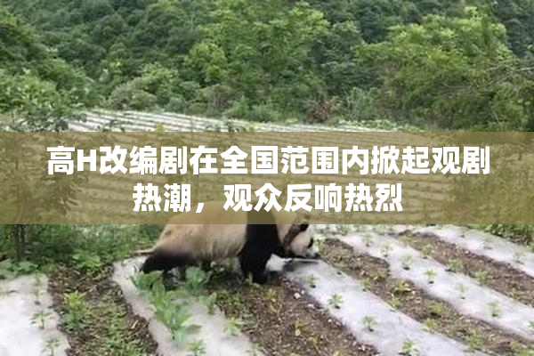 高H改编剧在全国范围内掀起观剧热潮，观众反响热烈