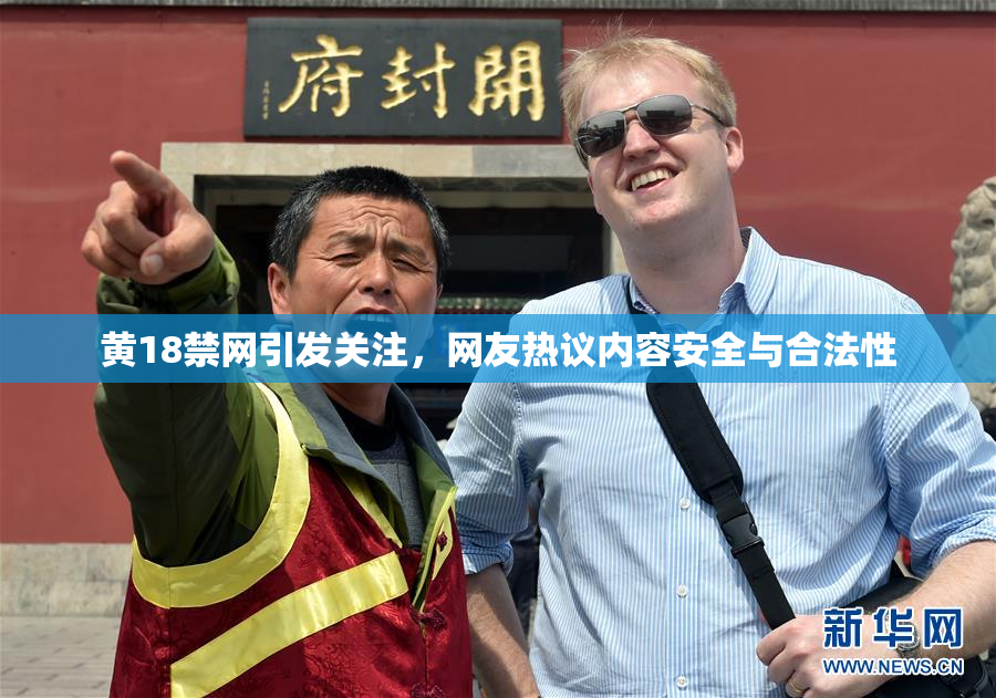 黄18禁网引发关注，网友热议内容安全与合法性