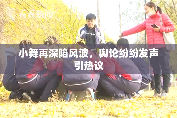 小舞再深陷风波，舆论纷纷发声引热议