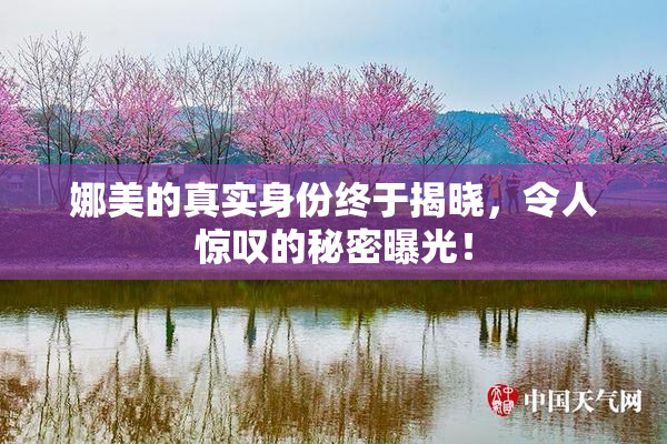 娜美的真实身份终于揭晓，令人惊叹的秘密曝光！