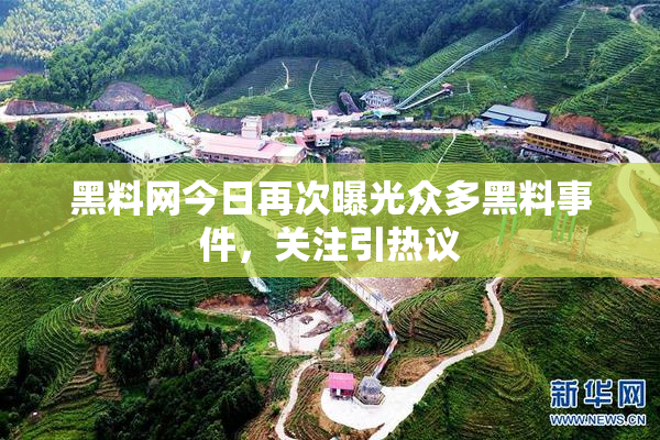 黑料网今日再次曝光众多黑料事件，关注引热议