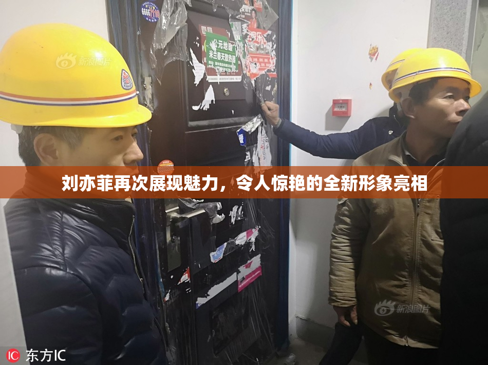 刘亦菲再次展现魅力，令人惊艳的全新形象亮相
