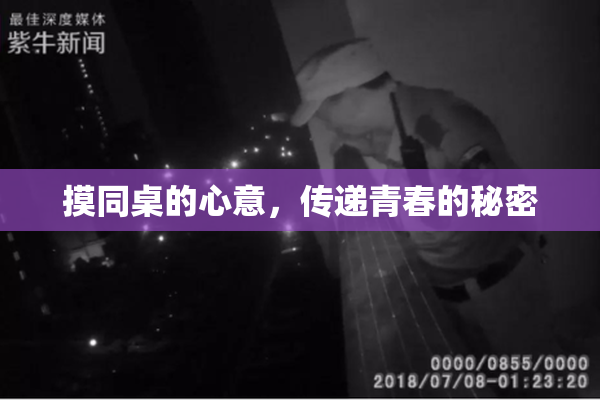 摸同桌的心意，传递青春的秘密
