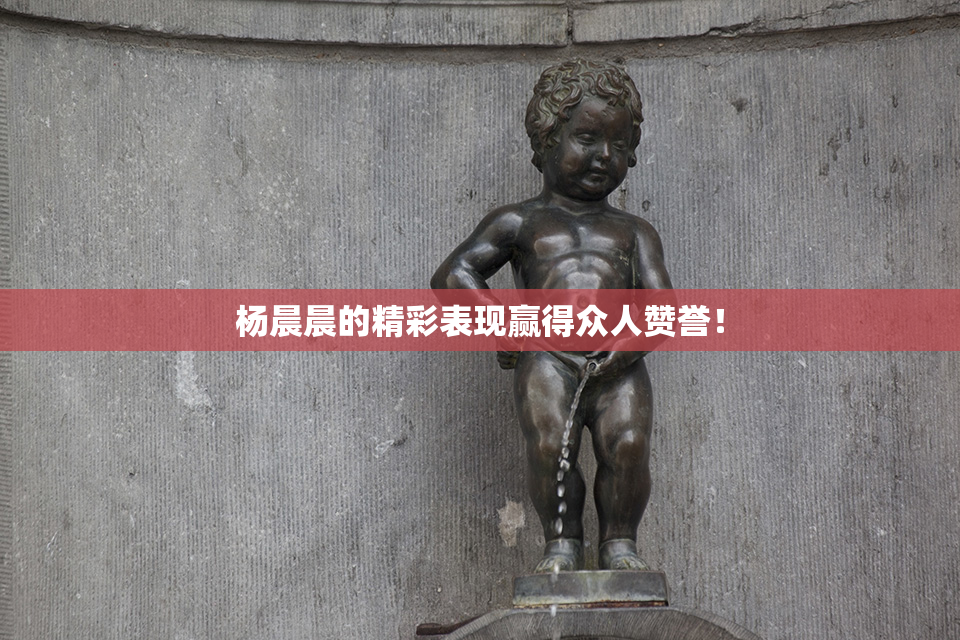 杨晨晨的精彩表现赢得众人赞誉！
