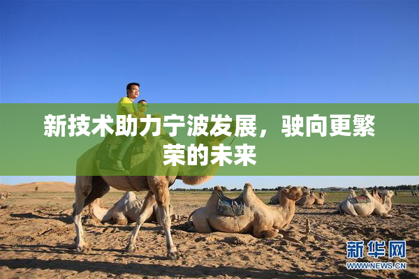 新技术助力宁波发展，驶向更繁荣的未来