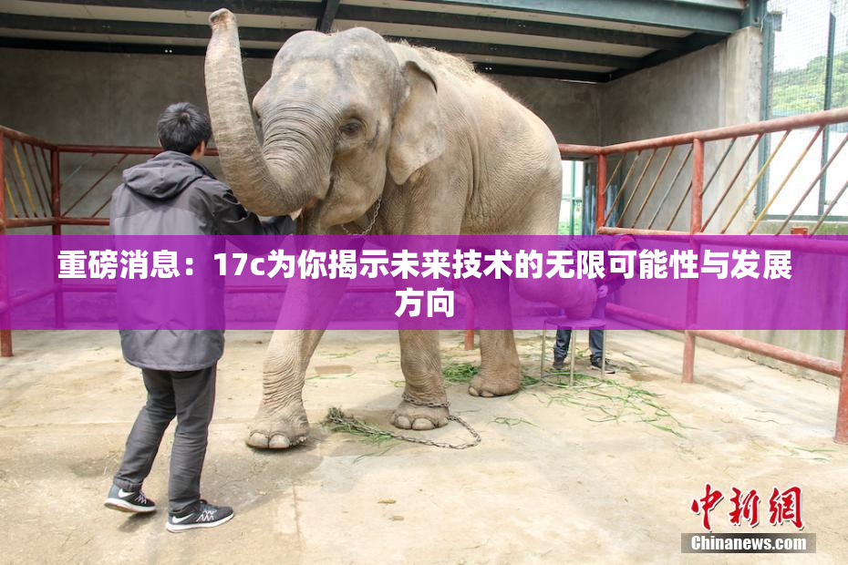 重磅消息：17c为你揭示未来技术的无限可能性与发展方向