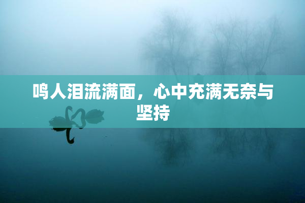 鸣人泪流满面，心中充满无奈与坚持