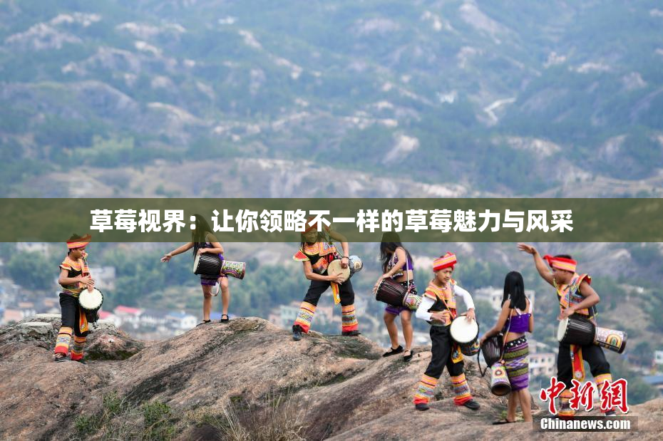 草莓视界：让你领略不一样的草莓魅力与风采