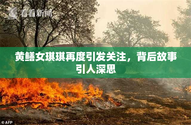 黄鳝女琪琪再度引发关注，背后故事引人深思