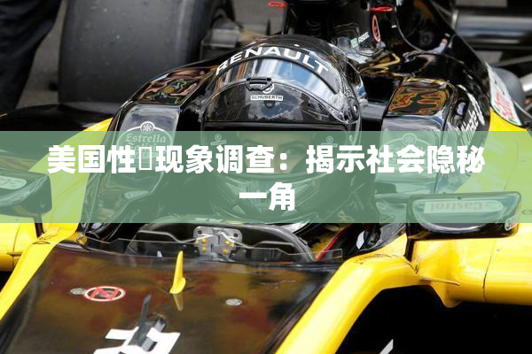 美国性婬现象调查：揭示社会隐秘一角