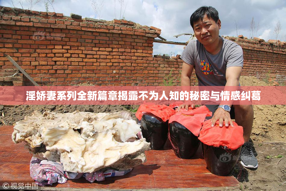 淫娇妻系列全新篇章揭露不为人知的秘密与情感纠葛