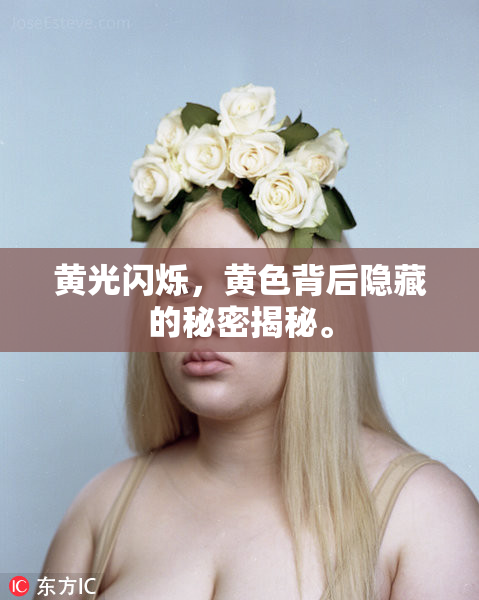 黄光闪烁，黄色背后隐藏的秘密揭秘。