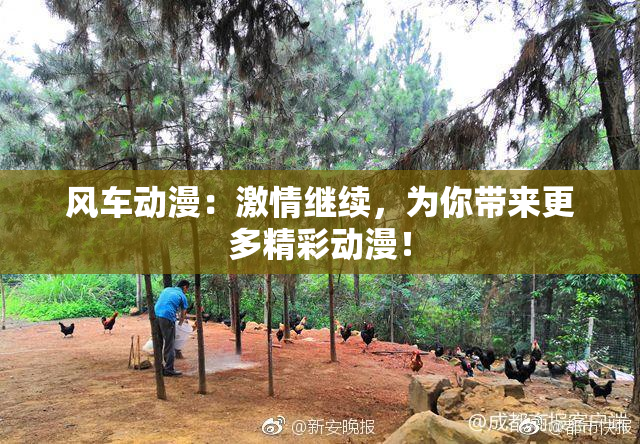 风车动漫：激情继续，为你带来更多精彩动漫！