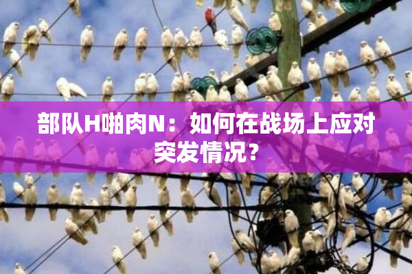 部队H啪肉N：如何在战场上应对突发情况？
