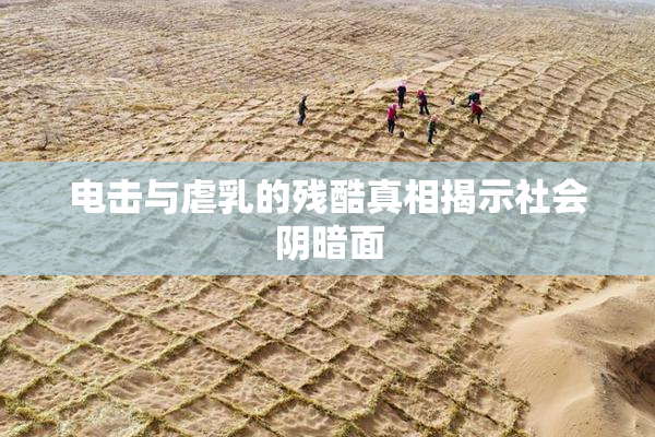 电击与虐乳的残酷真相揭示社会阴暗面
