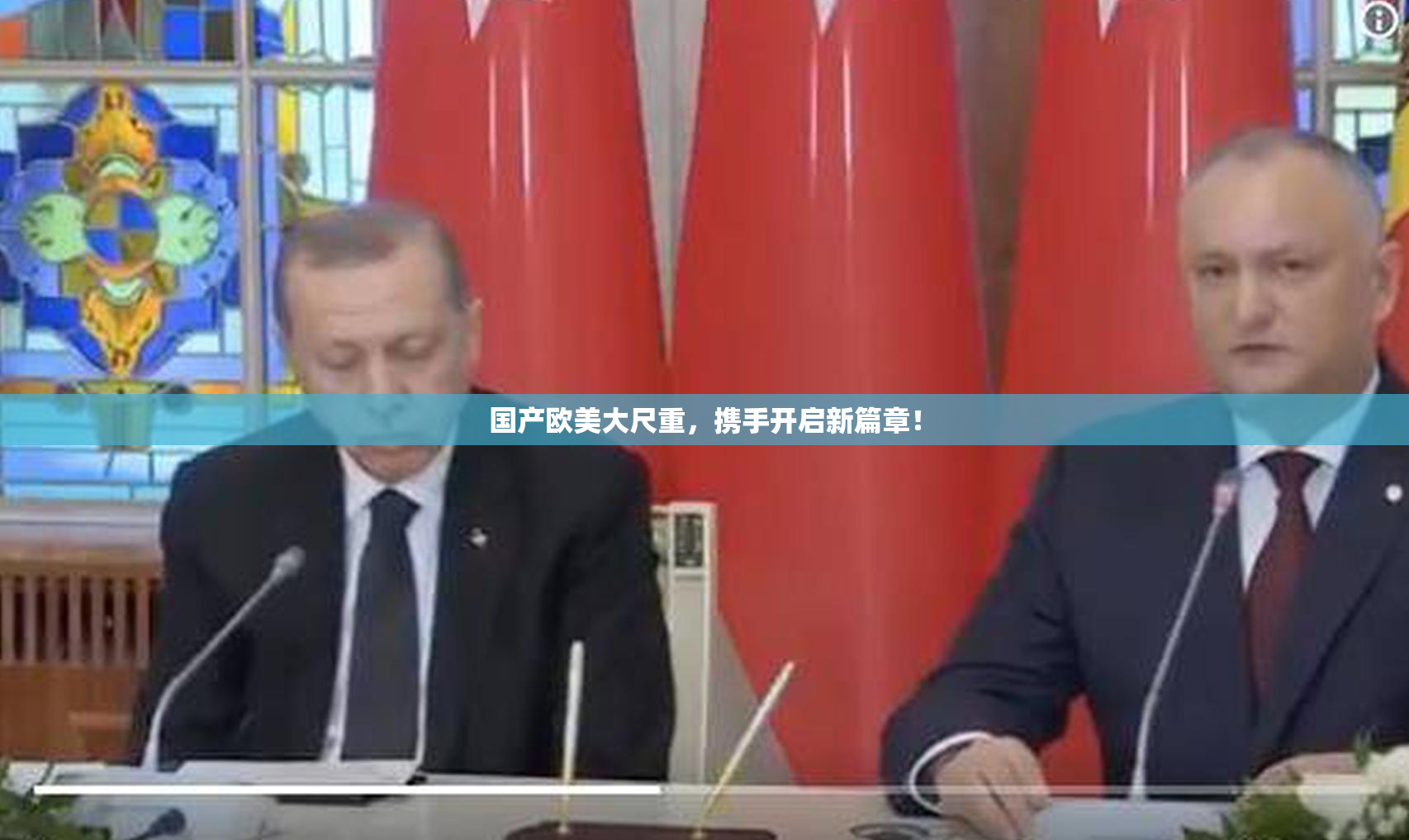 国产欧美大尺重，携手开启新篇章！