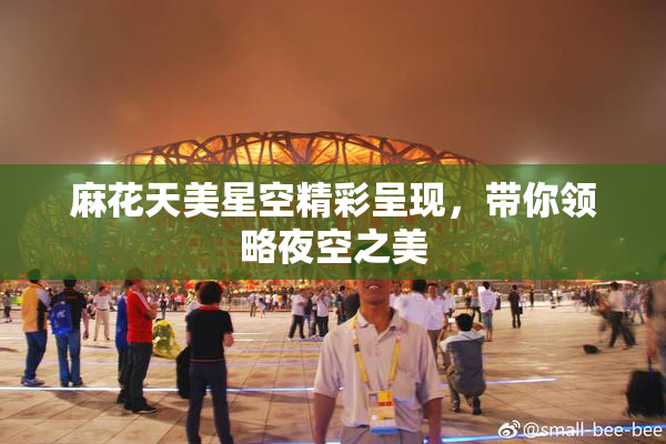 麻花天美星空精彩呈现，带你领略夜空之美